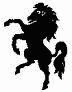 Black Horse Marquees 1083098 Image 7